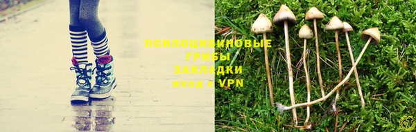 амф Наволоки