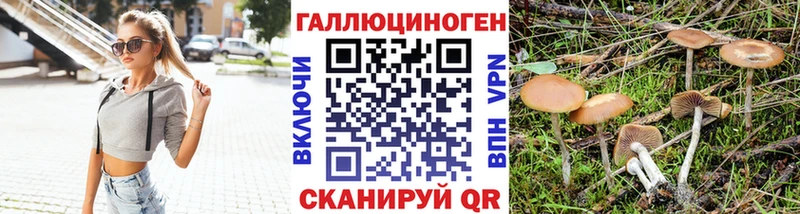 Галлюциногенные грибы GOLDEN TEACHER  Скопин 