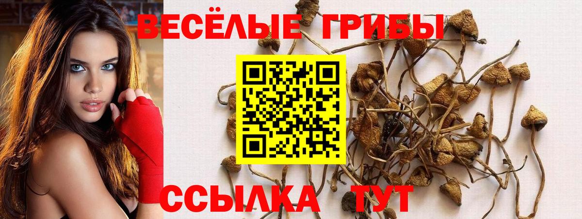 Скопин  Псилоцибиновые грибы мицелий  Вход с VPN 