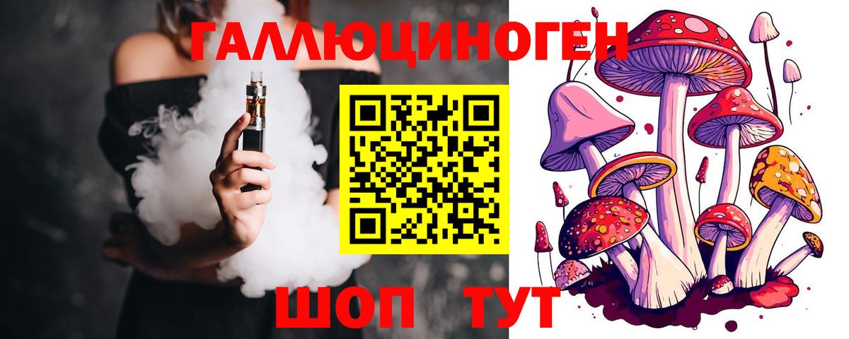 Галлюциногенные грибы Psilocybe Скопин